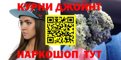 гидра Будённовск