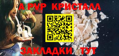 гидра Будённовск