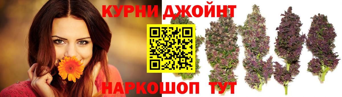 Марихуана план  МАРИХУАНА планчик  Вход с VPN  Павловский Посад  Бошки марихуана ГИДРОПОН 